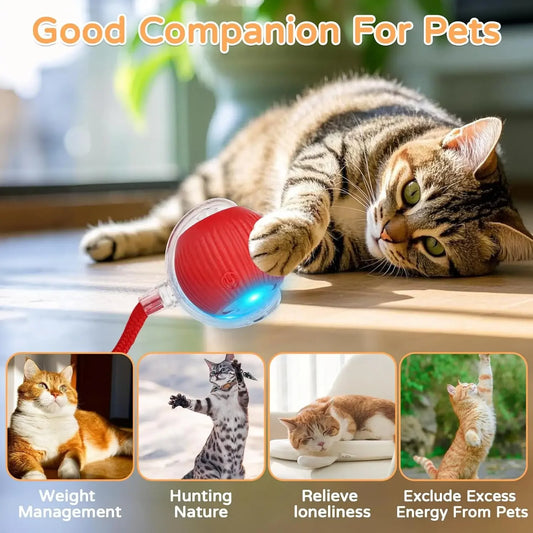 HuntBot Ball | Automatic Rolling Interactive Toy for Dogs & Cats